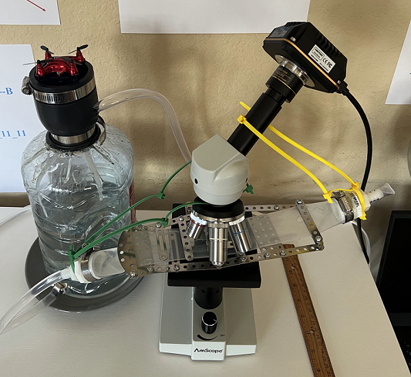 liquid viewing and detection