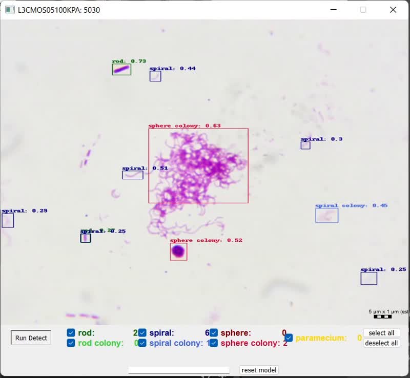AI-Assisted Microscopy — Prototype Interface